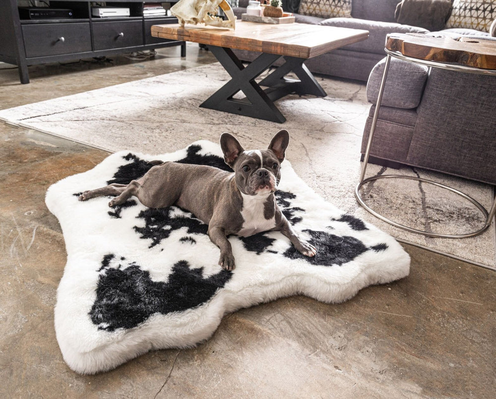 PupRug™ Animal Print Memory Foam Dog Bed - Black Faux Cowhide