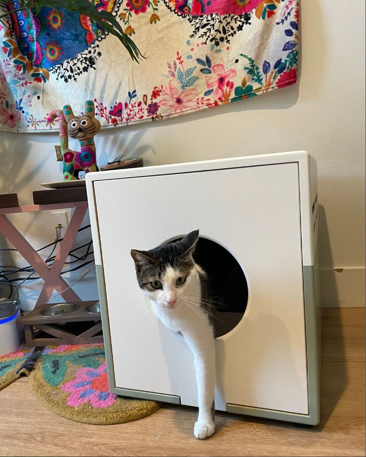 Custom Litter Box Enclosure for Cats