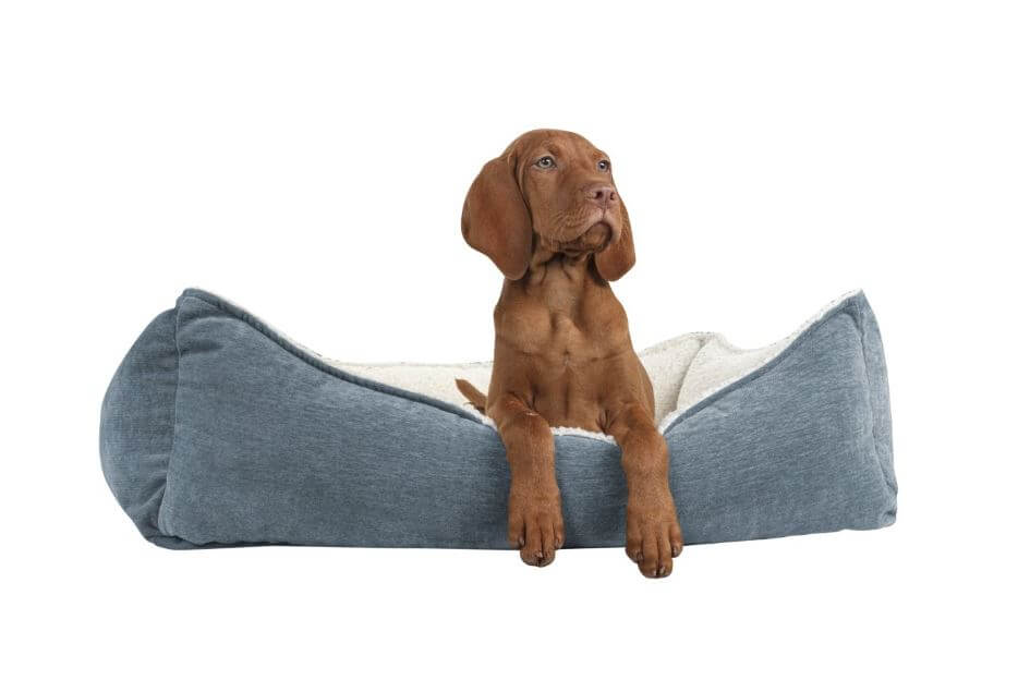 Pamper Your Pooch: Top-Rated Dog Beds for Every Pup's Personality