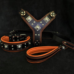 collars, leashes, and harnesses