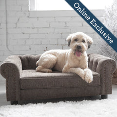 Happy dog lounging on a plush grey sofa bed, labeled as 'Online Exclusive', showcasing luxury pet furniture from HT Animal Supply.