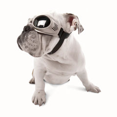 Bulldog wearing Doggles® goggles from HT Animal Supply, showcasing shatterproof and UV protection lenses for trendy pet fashion 2025.