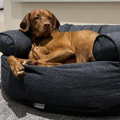 Premium Dog Beds