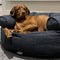 Premium Dog Beds