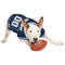 Dog in sports jersey biting a football, showcasing premium pet gear from HT Animal Supply's Sports Collection.