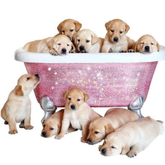 Adorable puppies in a sparkling pink crystal-covered bathtub from HT Animal Supply's exclusive Diamond Bathtub Collection.