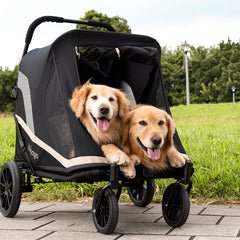 Two happy golden retrievers enjoying a ride in a stylish, black dog stroller in a park, perfect for pet mobility and comfort.