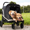 Two happy golden retrievers enjoying a ride in a stylish, black dog stroller in a park, perfect for pet mobility and comfort.