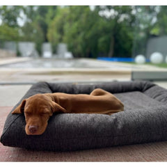 Brown puppy sleeping peacefully on a dark gray rectangle dog bed from HT Animal Supply, showcasing comfort and design.