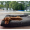 Brown puppy sleeping peacefully on a dark gray rectangle dog bed from HT Animal Supply, showcasing comfort and design.