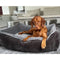 Vizsla dog relaxing in a plush gray lounge bed from HT Animal Supply's premium, eco-friendly pet gear collection.