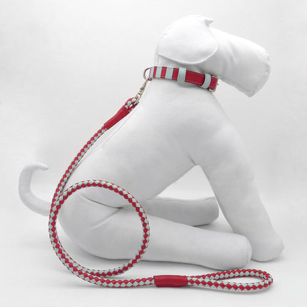 Loop-Leash