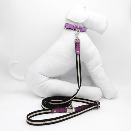 Multi Nubuck Fuchsia-Leash