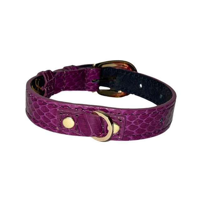 XS/S 7”-14” Purple Custom Snake Collar/Custom Gold Oval Italian Hardware