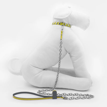 Lemon Cuore-Leash