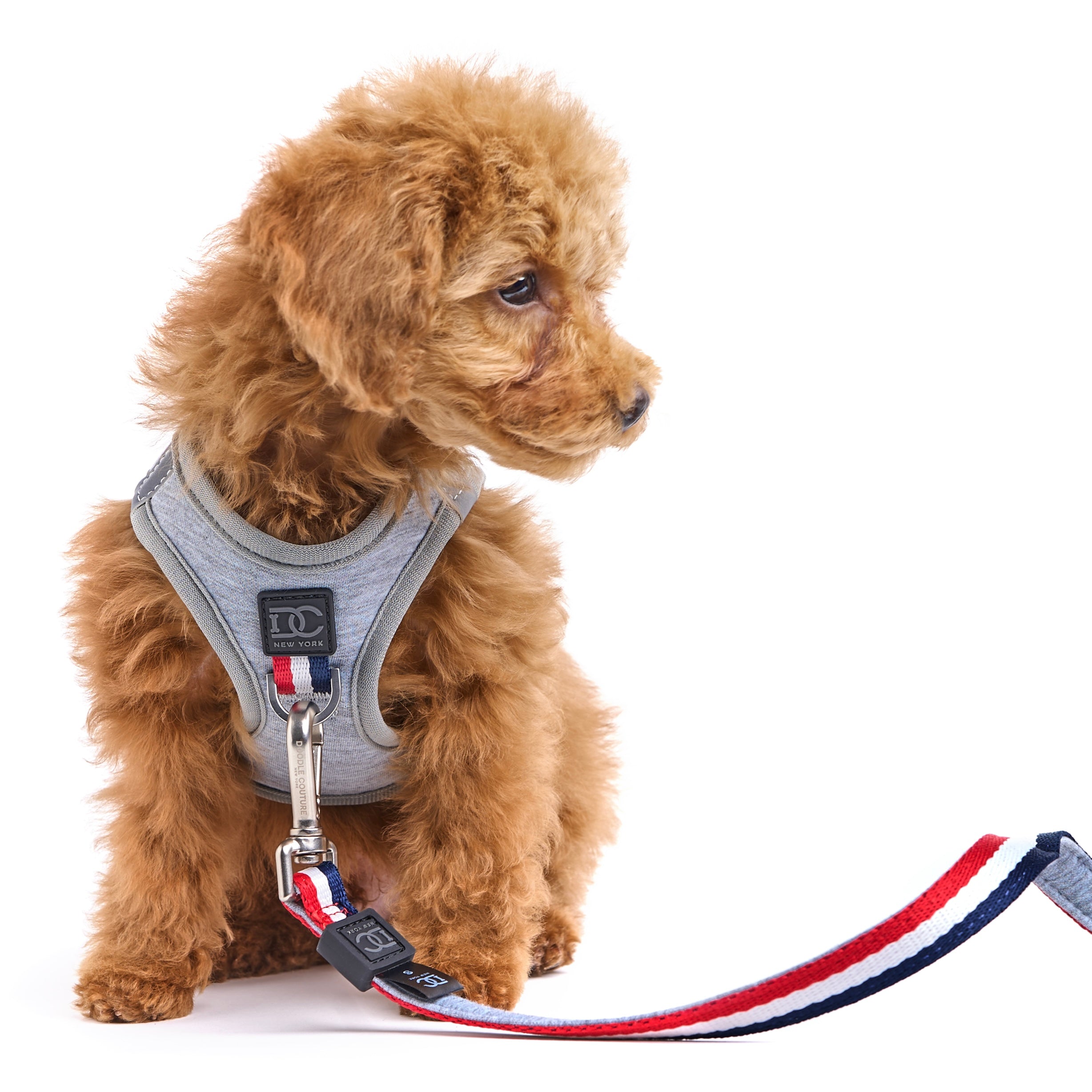 Luxe No-Pull Step-In Dog Harness - Champion