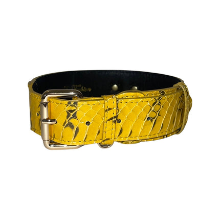 Mustard Yellow & Black Snake Classic Collar