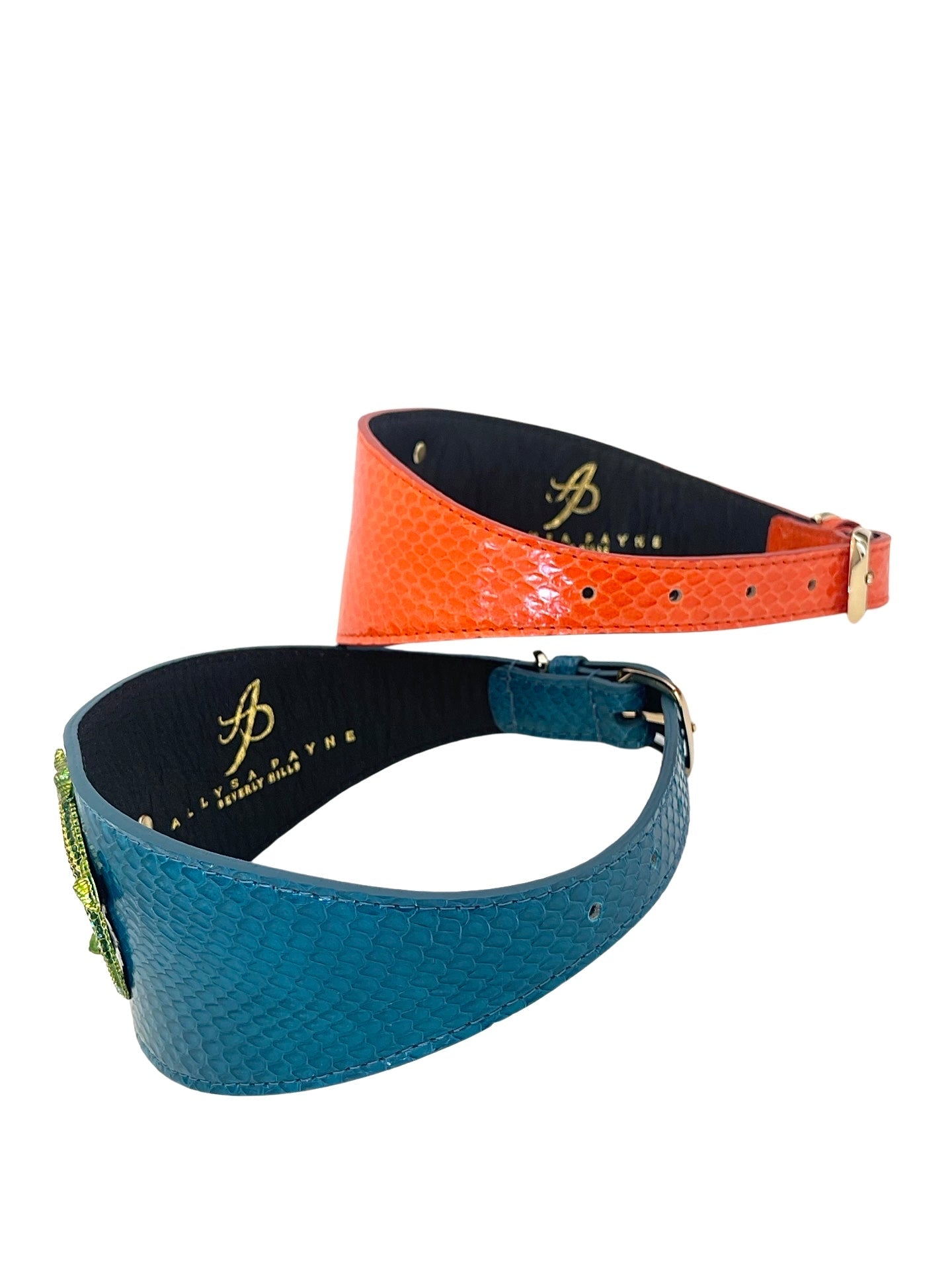 Alligator Collar Set Of Two