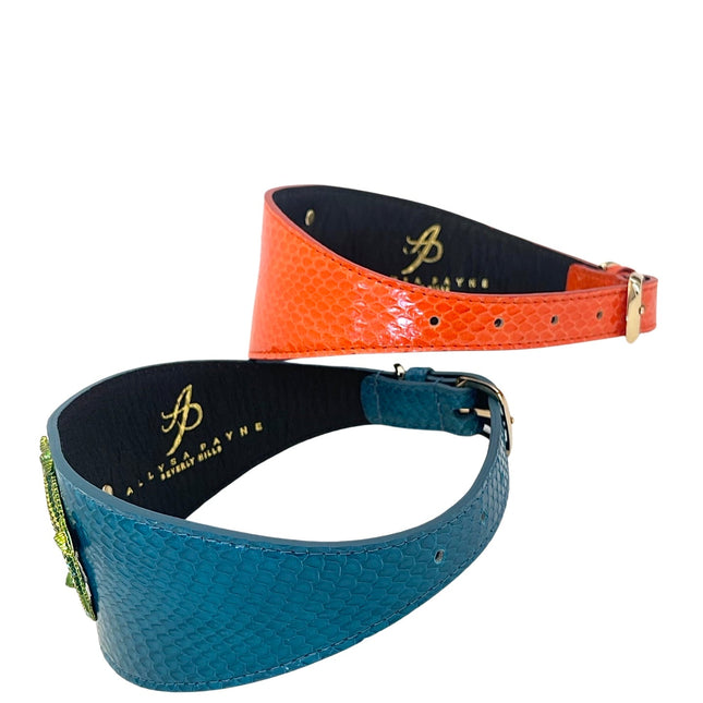 Alligator Collar Set Of Two