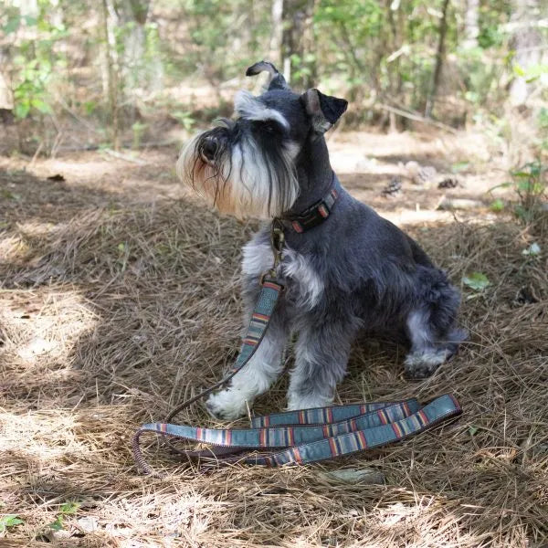 Pendleton Vintage Camp Heather Green Hiker Durable Dog Collar