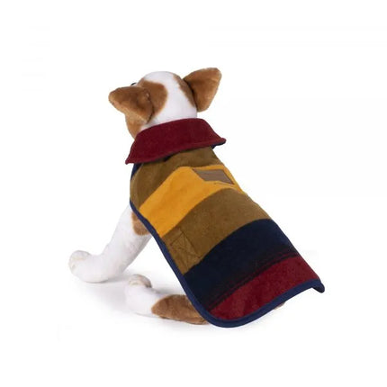 zion national park dog coat