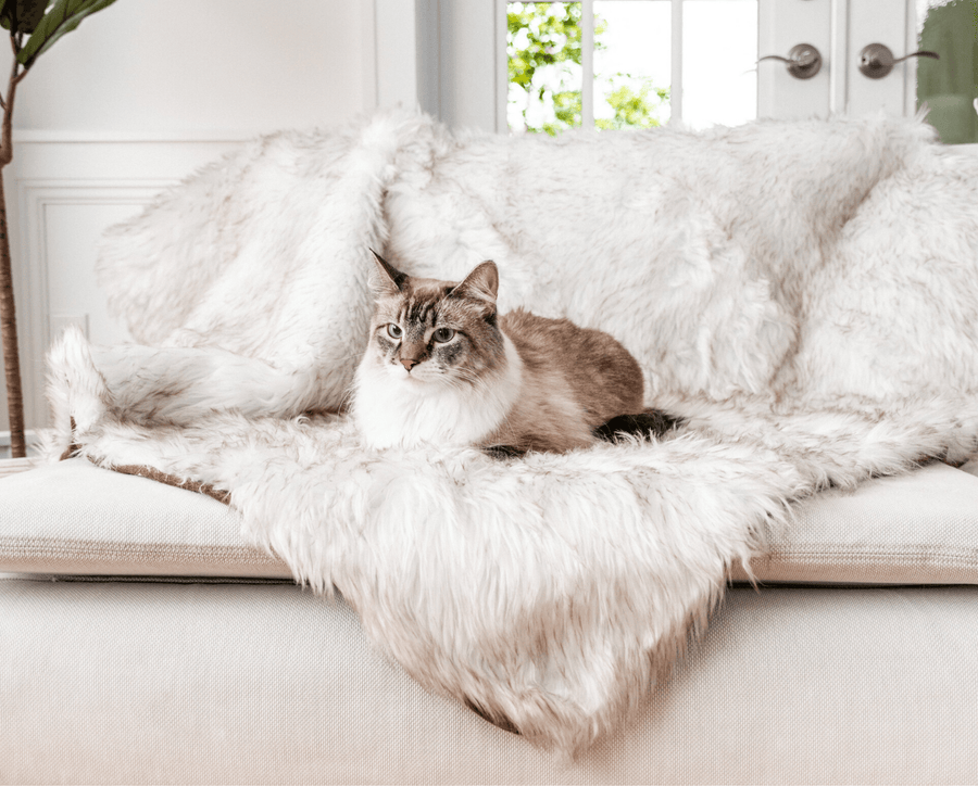 CatNap™ Anti-Scratch & Waterproof Throw Blanket - White with Brown Accents