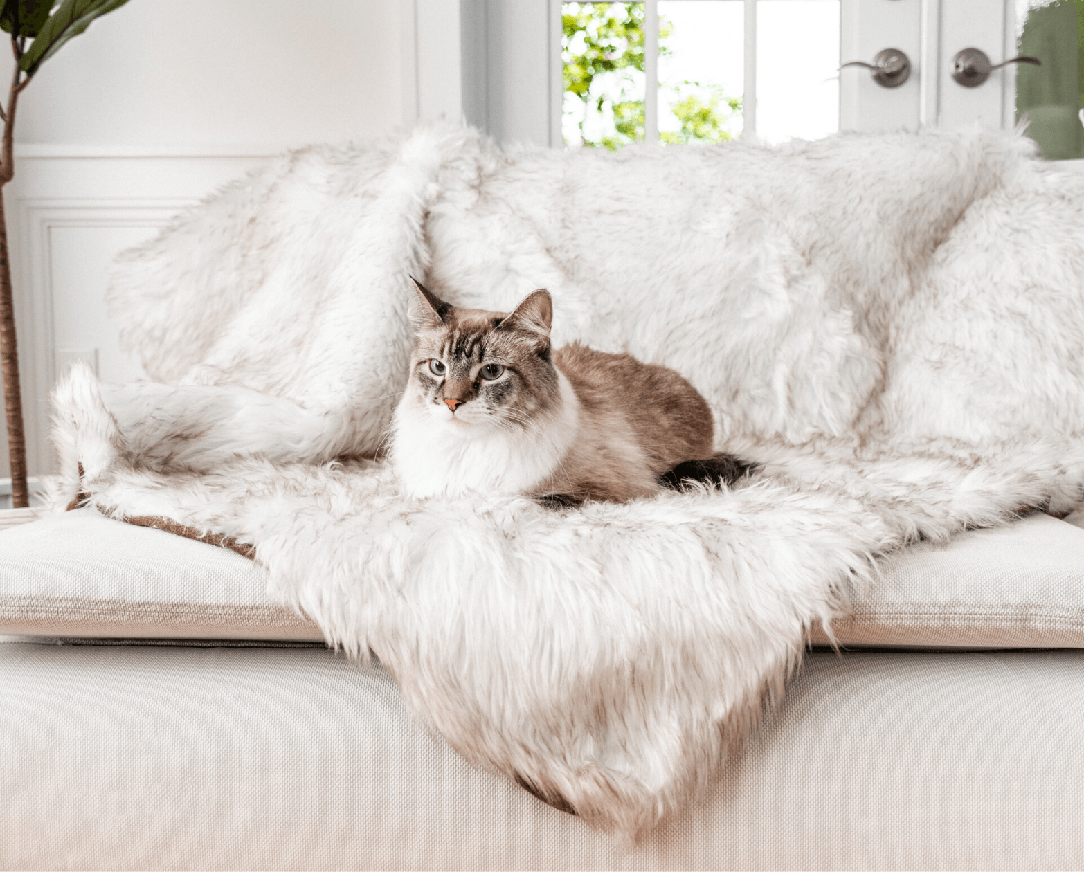 CatNap Anti-Scratch & Waterproof Throw Blanket - White with Brown Accents One Size (60