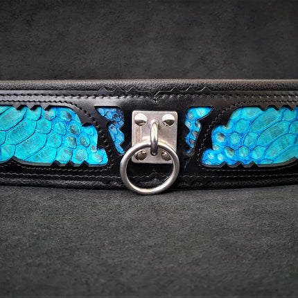 The ''Morelia Python'' collar