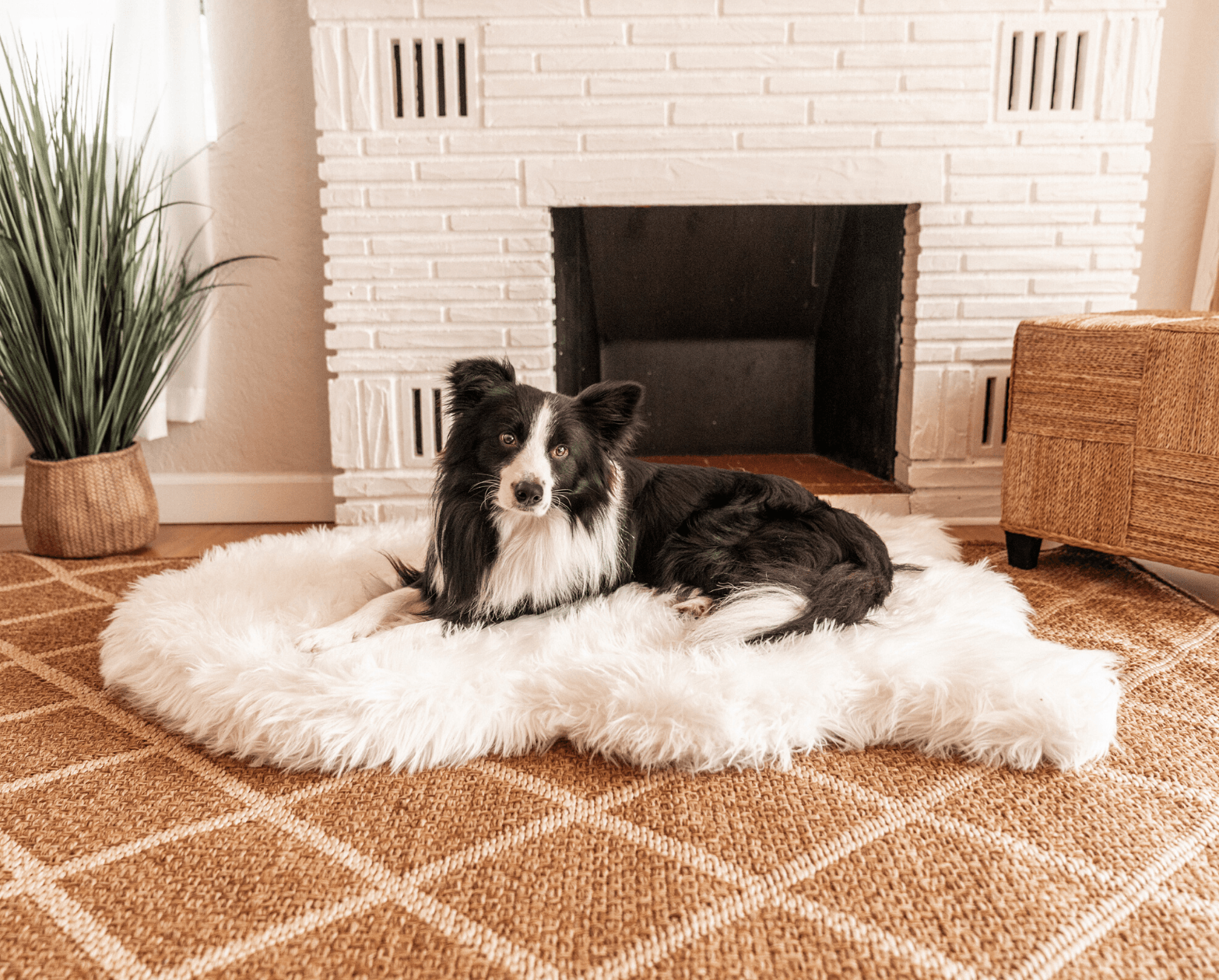 PupRug Faux Fur Orthopedic Dog Bed - Curve Polar White Giant (60