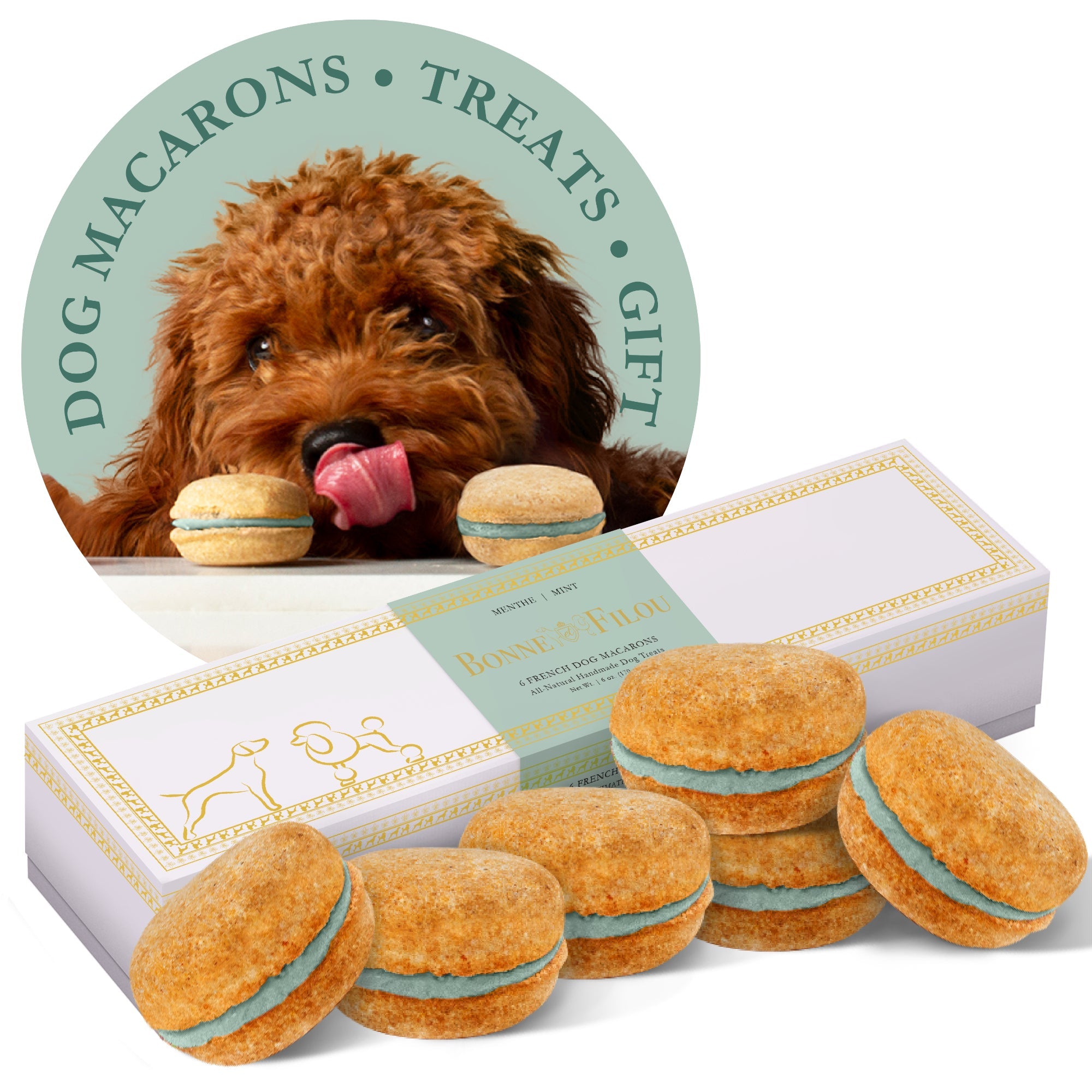 Dog Macarons (Box of 6) Mint