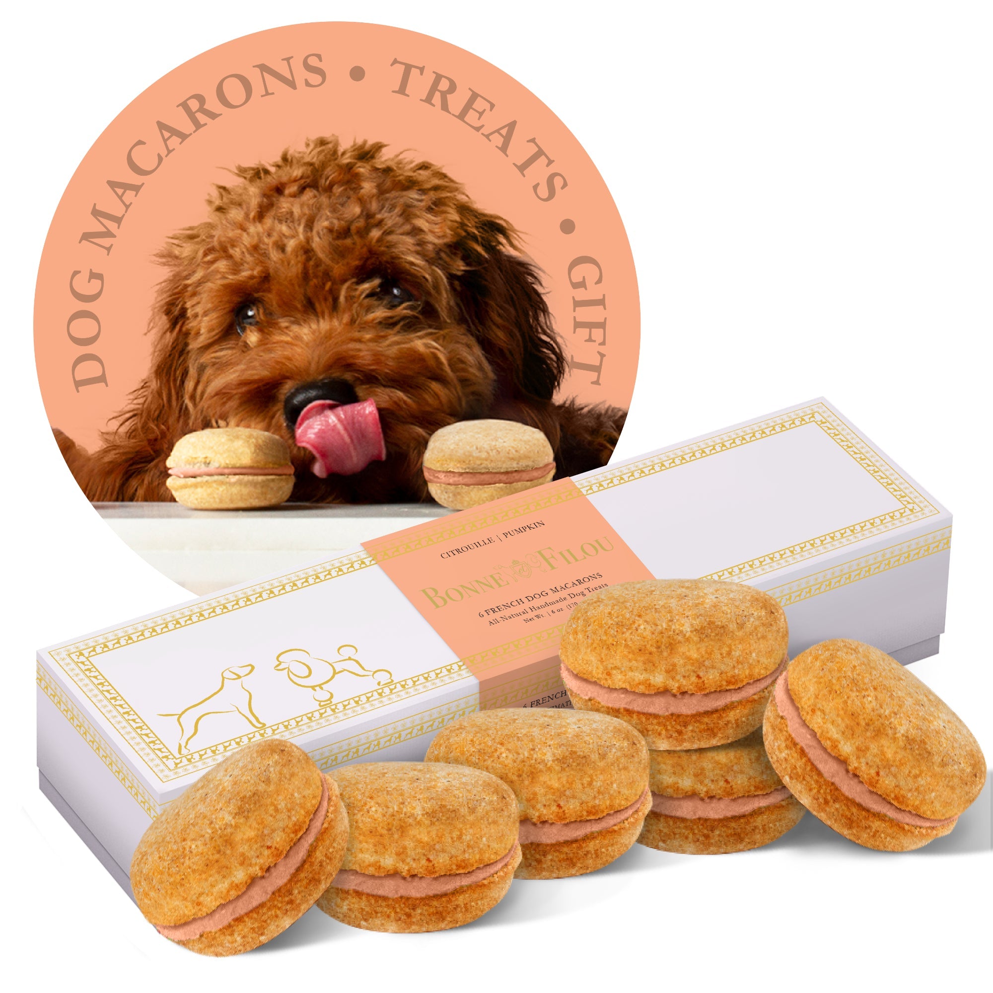 Dog Macarons (Box of 6) Pumpkin