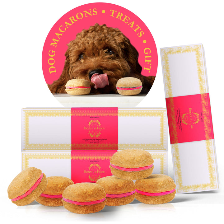 Dog Macaron Combo Gift Box (18 French Dog Macarons)
