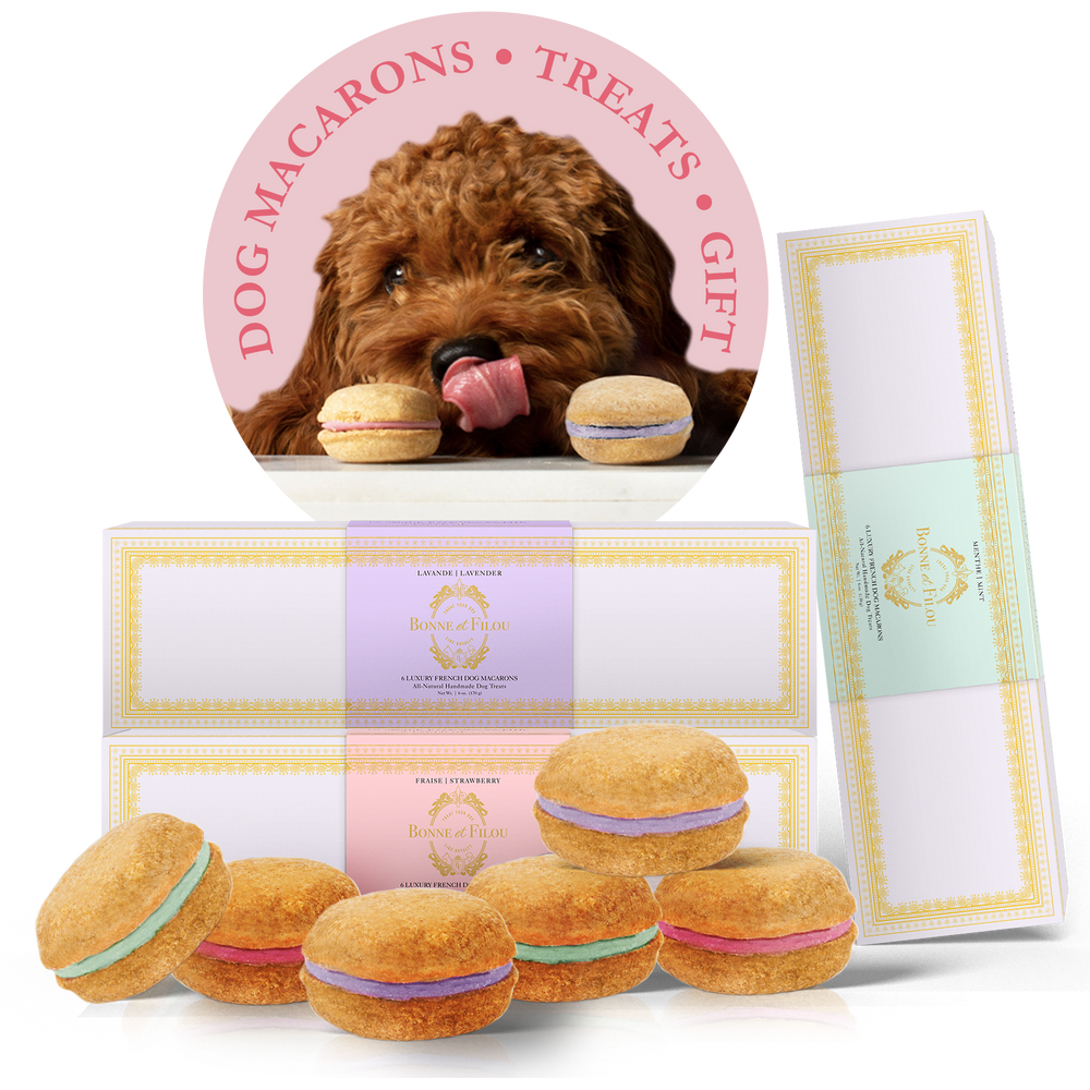 Dog Macaron Combo Gift Box (18 French Dog Macarons)
