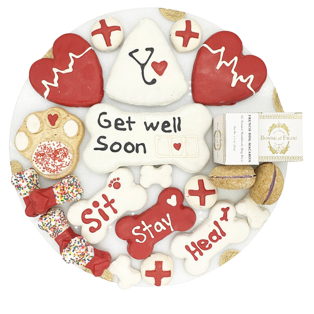 Get Well Soon Themed Dog Treats Gift Box