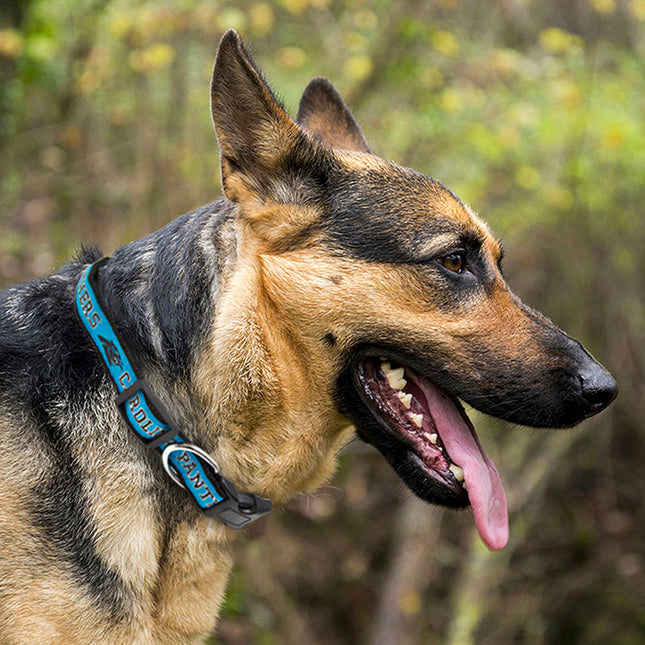 NFL Carolina Panthers Dog Collar