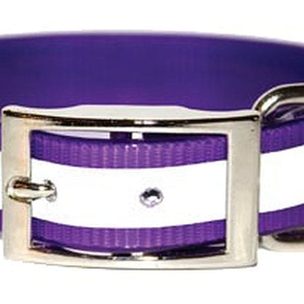 Purple SunGlo Reflective Collars