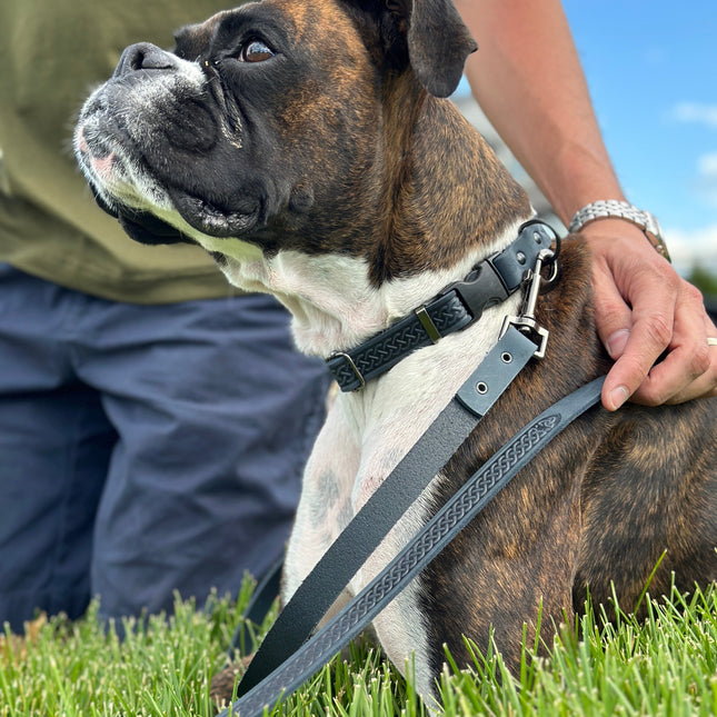 Celtic Sport Blue Jeans Leather Dog Leash