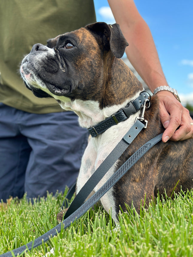 Celtic Sport Blue Jeans Leather Dog Leash