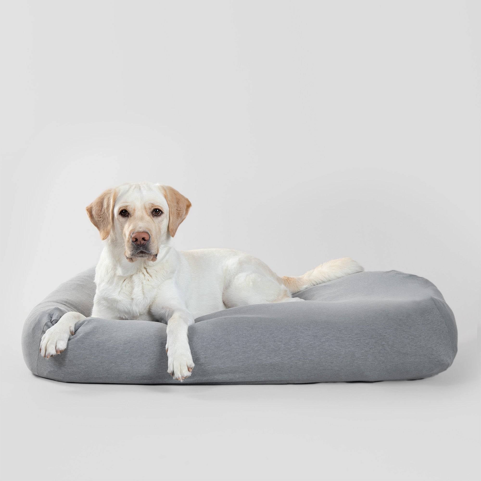 Recovery Bed Cover for Dogs