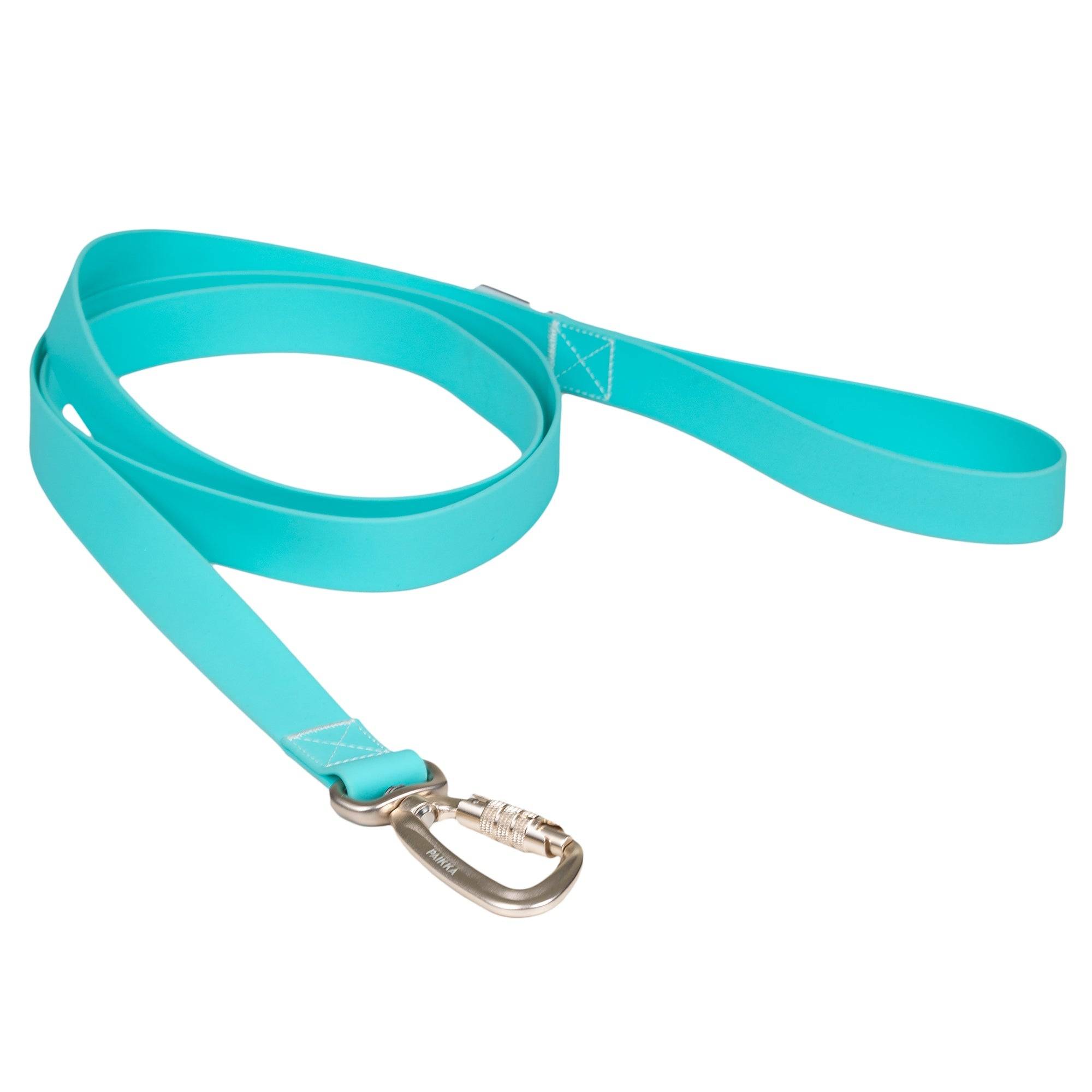 PAIKKA Glow Leash Aqua for Dogs