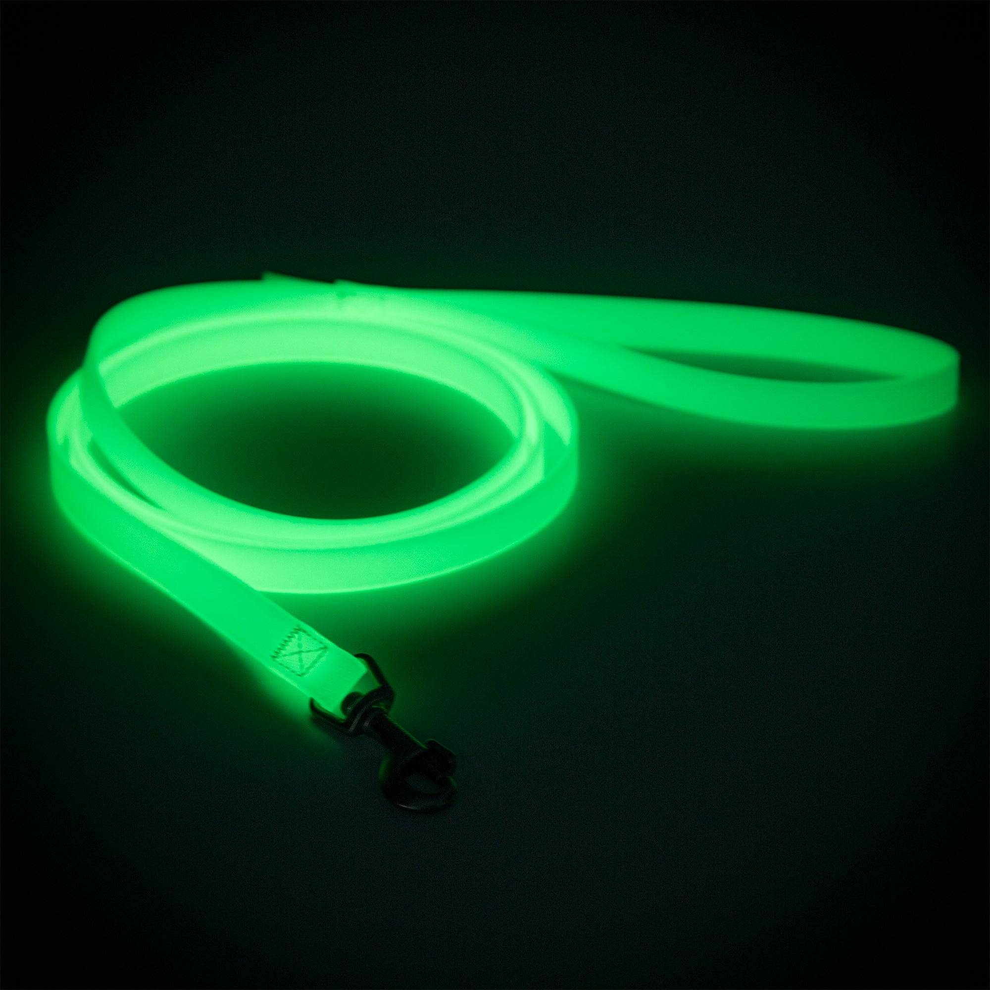 Glow Leash for Dogs