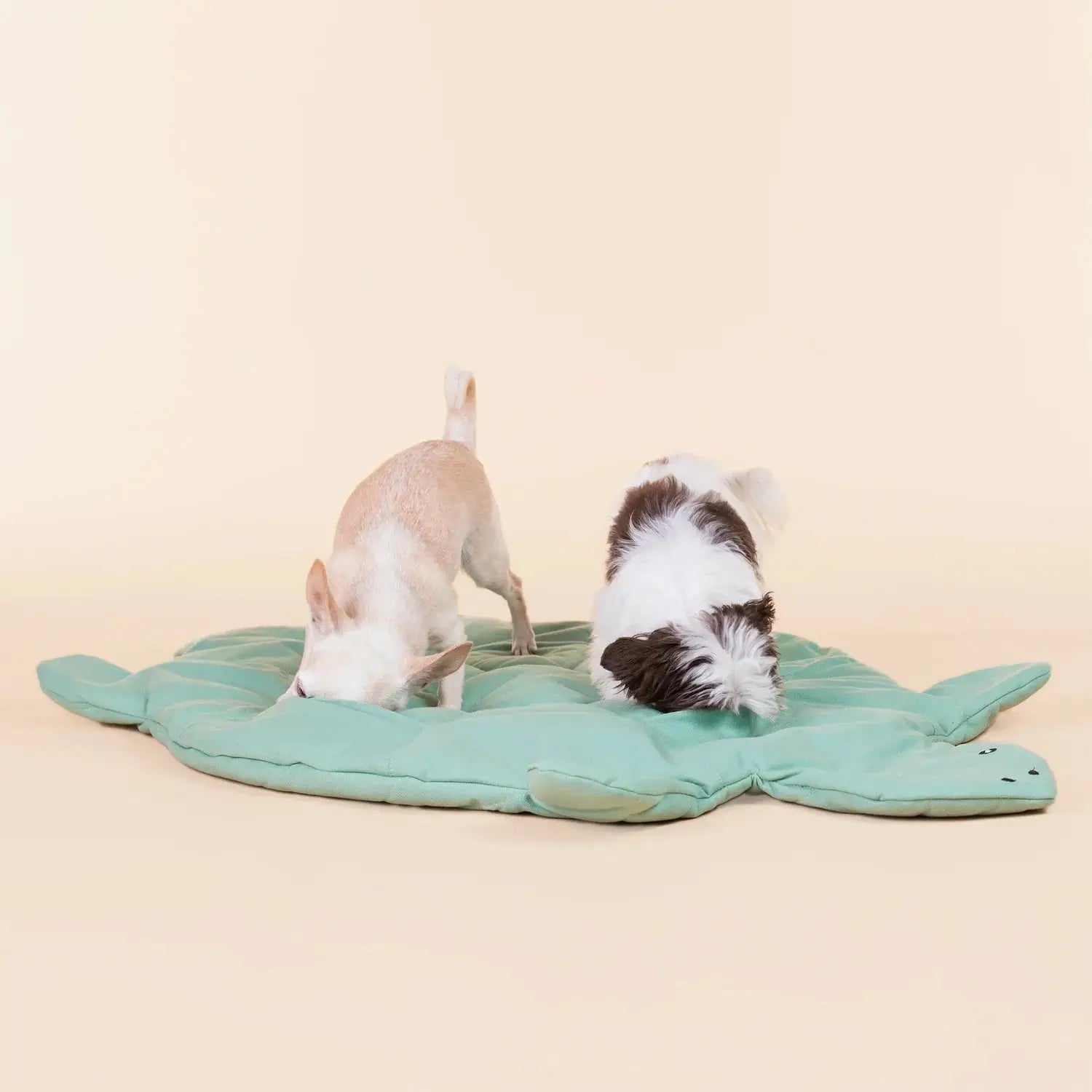 Turtle Playmat for Dogs