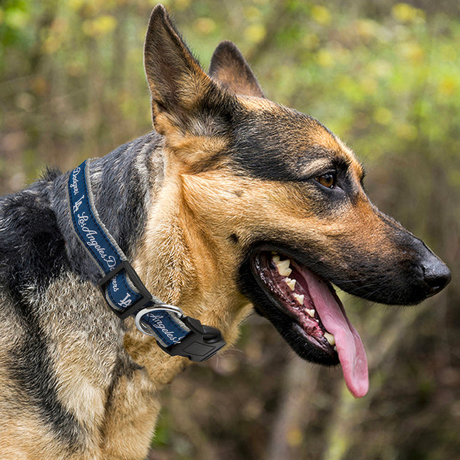 Los Angeles Dodgers Dog Collar