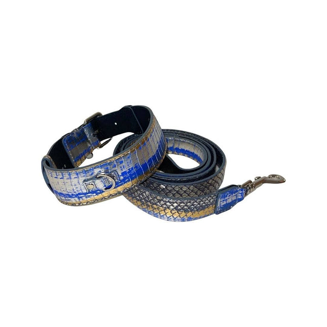 Stunning Multi-Color Blue/Silver/Gold Snake, Classic Collar & Leash Set With Silver Hardware