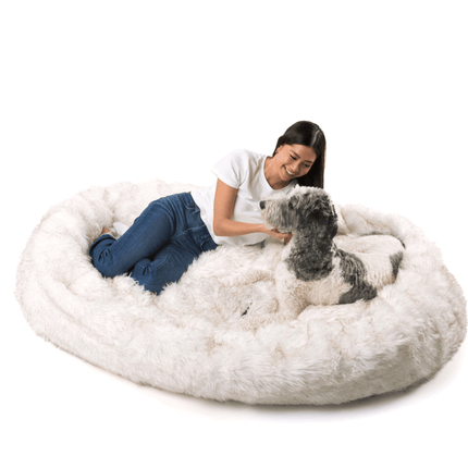 PupCloud™ Human-Size Faux Fur Memory Foam Dog Bed - White with Brown Accents