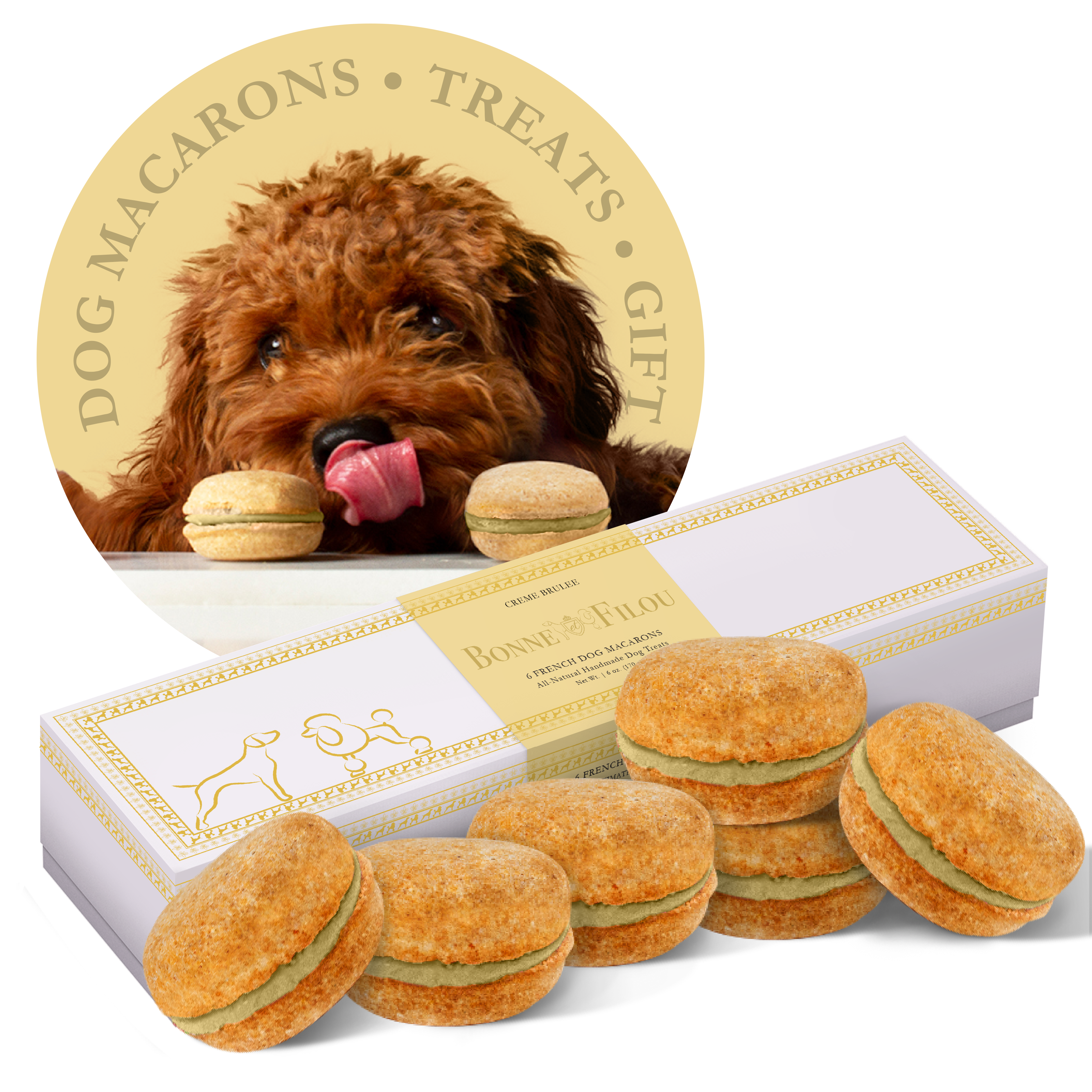 Dog Macarons (Box of 6) Crème Brûlée