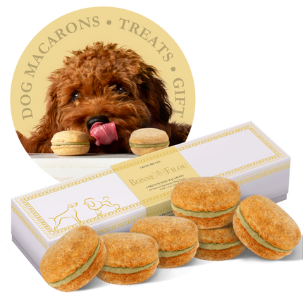 Dog Macarons (Box of 6)