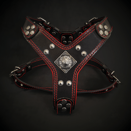 The ''Eros'' harness Black & Red Small to Medium Size