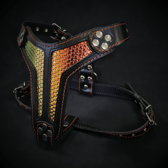 The ''D`Albertis'' harness Medium Size