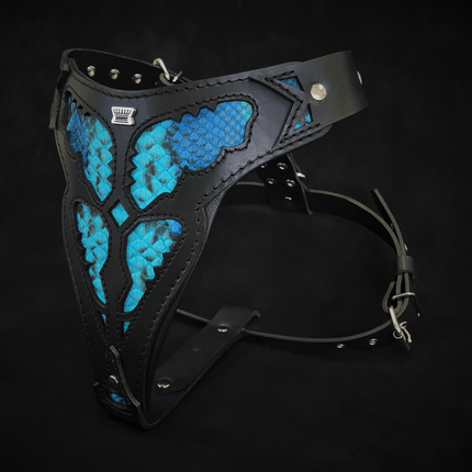 The ''Morelia Python'' harness